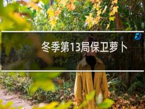 冬季第13局保卫萝卜