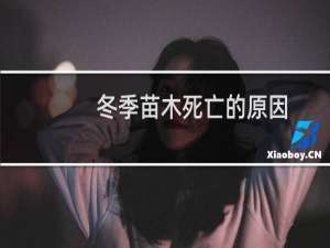 冬季苗木死亡的原因
