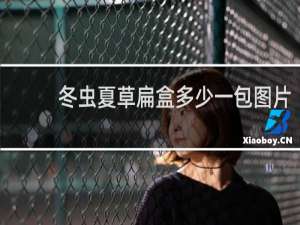 冬虫夏草扁盒多少一包图片