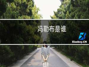 冯勒布是谁，附贴吧冯勒布照片什么梗