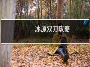 冰原双刀攻略