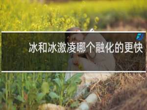 冰和冰激凌哪个融化的更快