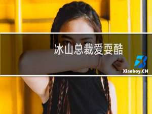 冰山总裁爱耍酷