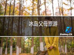 冰岛父母旅游
