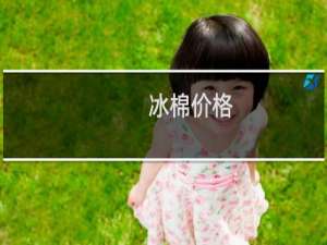 冰棉价格