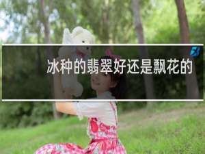 冰种的翡翠好还是飘花的好
