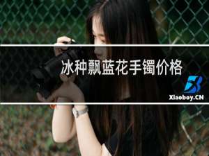 冰种飘蓝花手镯价格