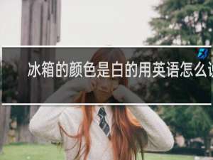 冰箱的颜色是白的用英语怎么说