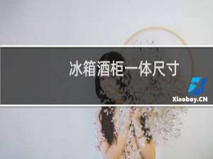 冰箱酒柜一体尺寸