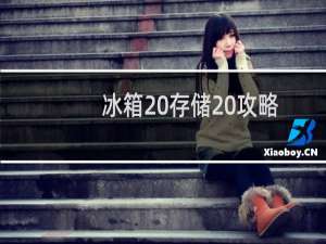 冰箱 存储 攻略