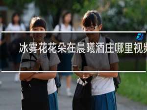 冰雾花花朵在晨曦酒庄哪里视频