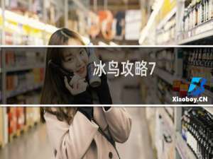 冰鸟攻略7