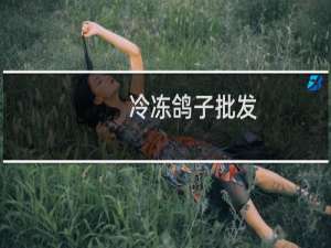 冷冻鸽子批发