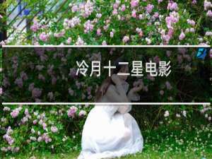 冷月十二星电影