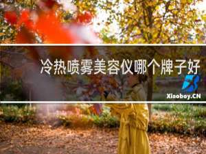 冷热喷雾美容仪哪个牌子好