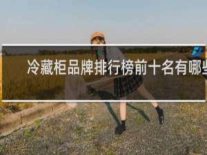 冷藏柜品牌排行榜前十名有哪些