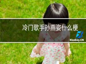 冷门歌手孙燕姿什么梗