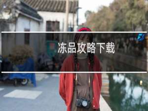 冻品攻略下载