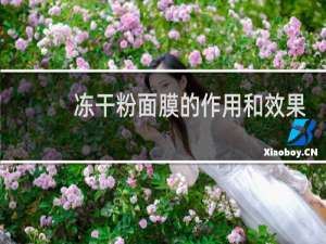 冻干粉面膜的作用和效果
