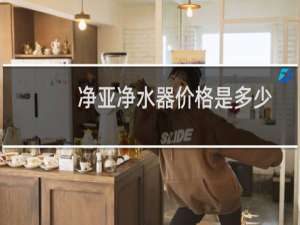 净亚净水器价格是多少
