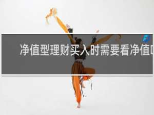 净值型理财买入时需要看净值吗