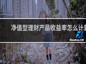 净值型理财产品收益率怎么计算