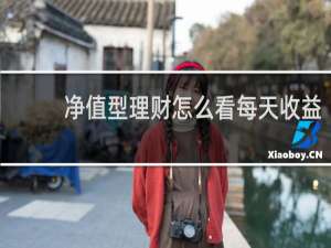 净值型理财怎么看每天收益