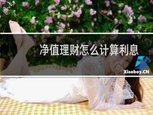 净值理财怎么计算利息