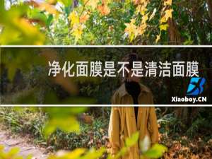 净化面膜是不是清洁面膜