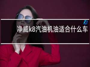 净威k8汽油机油适合什么车