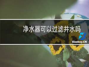 净水器可以过滤井水吗