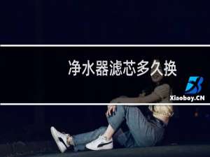 净水器滤芯多久换
