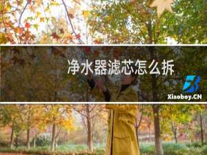 净水器滤芯怎么拆