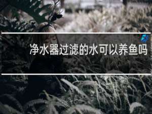 净水器过滤的水可以养鱼吗
