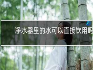净水器里的水可以直接饮用吗
