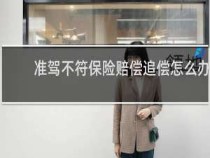 准驾不符保险赔偿追偿怎么办