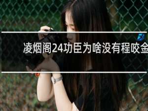 凌烟阁24功臣为啥没有程咬金