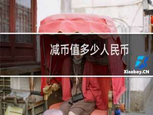 减币值多少人民币
