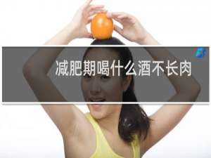 减肥期喝什么酒不长肉