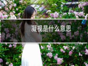 凝视是什么意思