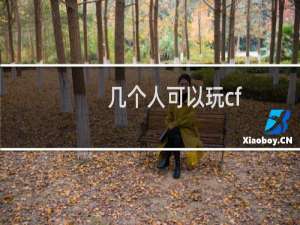 几个人可以玩cf