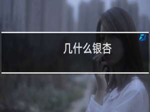 几什么银杏