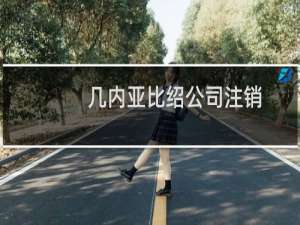 几内亚比绍公司注销