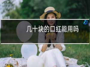 几十块的口红能用吗