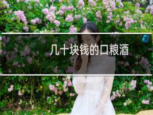 几十块钱的口粮酒