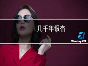 几千年银杏