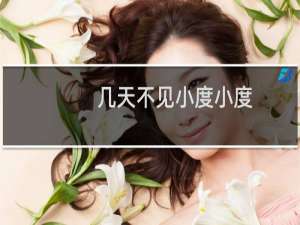 几天不见小度小度