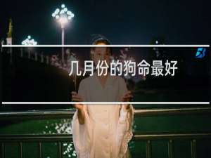 几月份的狗命最好