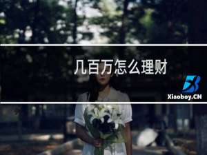 几百万怎么理财