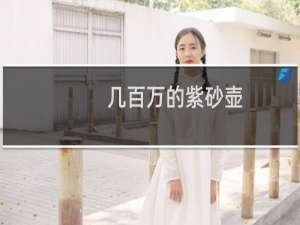 几百万的紫砂壶